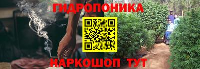 гидра Можайск